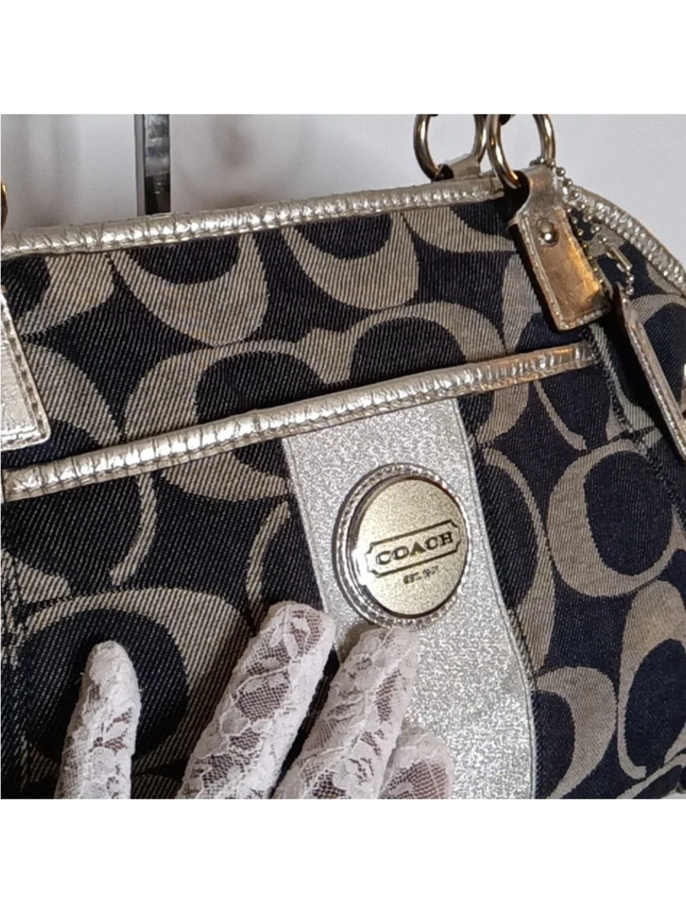 Coach Signature 